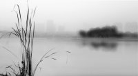 水墨龙湖
