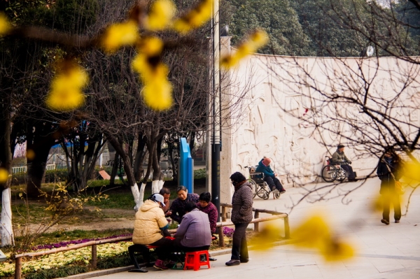 梅花时节