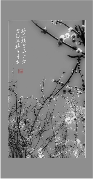 梅花图