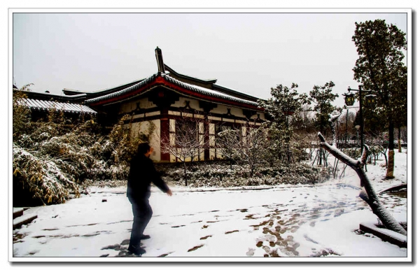 龙泉瑞雪（三）