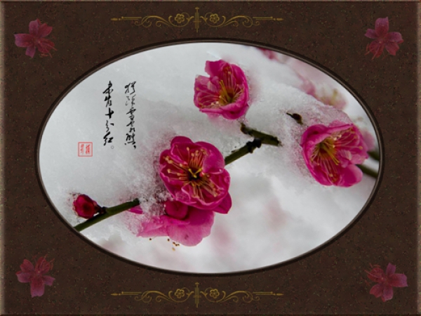 红梅赋