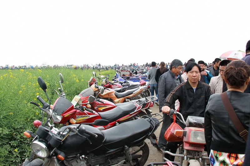 农历三月十八,祁集庙会