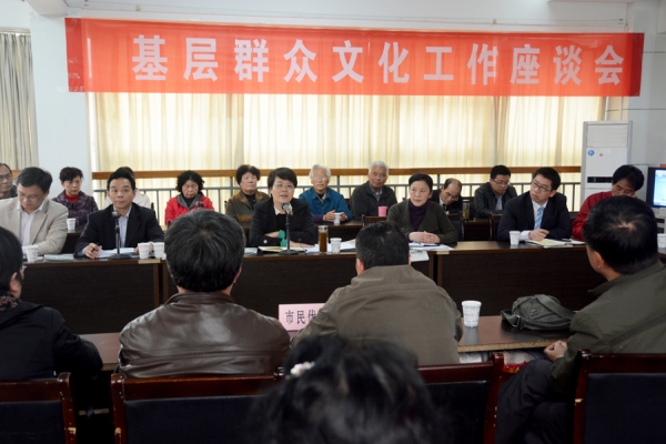淮南市召开基层群众文化工作座谈会