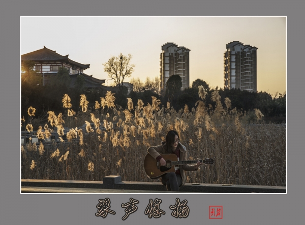 琴声悠扬