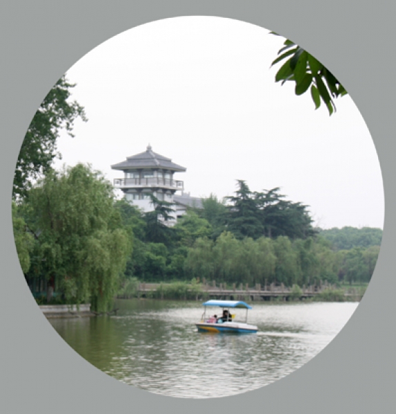 美在龙湖