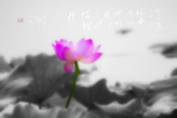 好花栽心田