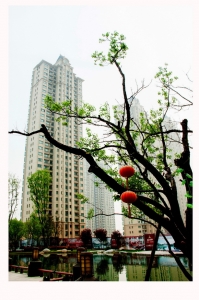幸福的红灯笼