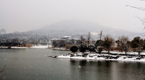 风雪里......(一)