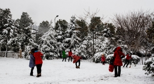 风雪里......(三）