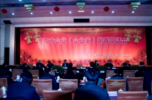 2015淮南市企业(企业家)新春茶话会