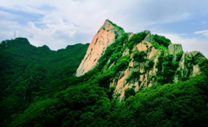 春山映日红