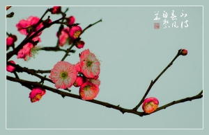 不待春风自繁华
