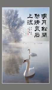 春暖鹅先知