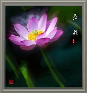 荷韵