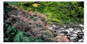 深山徽居