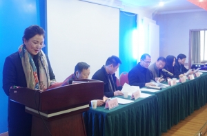 2015淮南市旅游协会年会