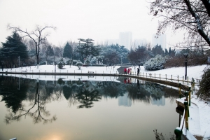龙湖看雪