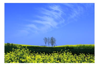香满田园