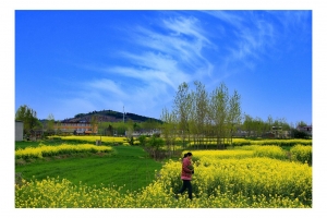 淮南乡村随想曲