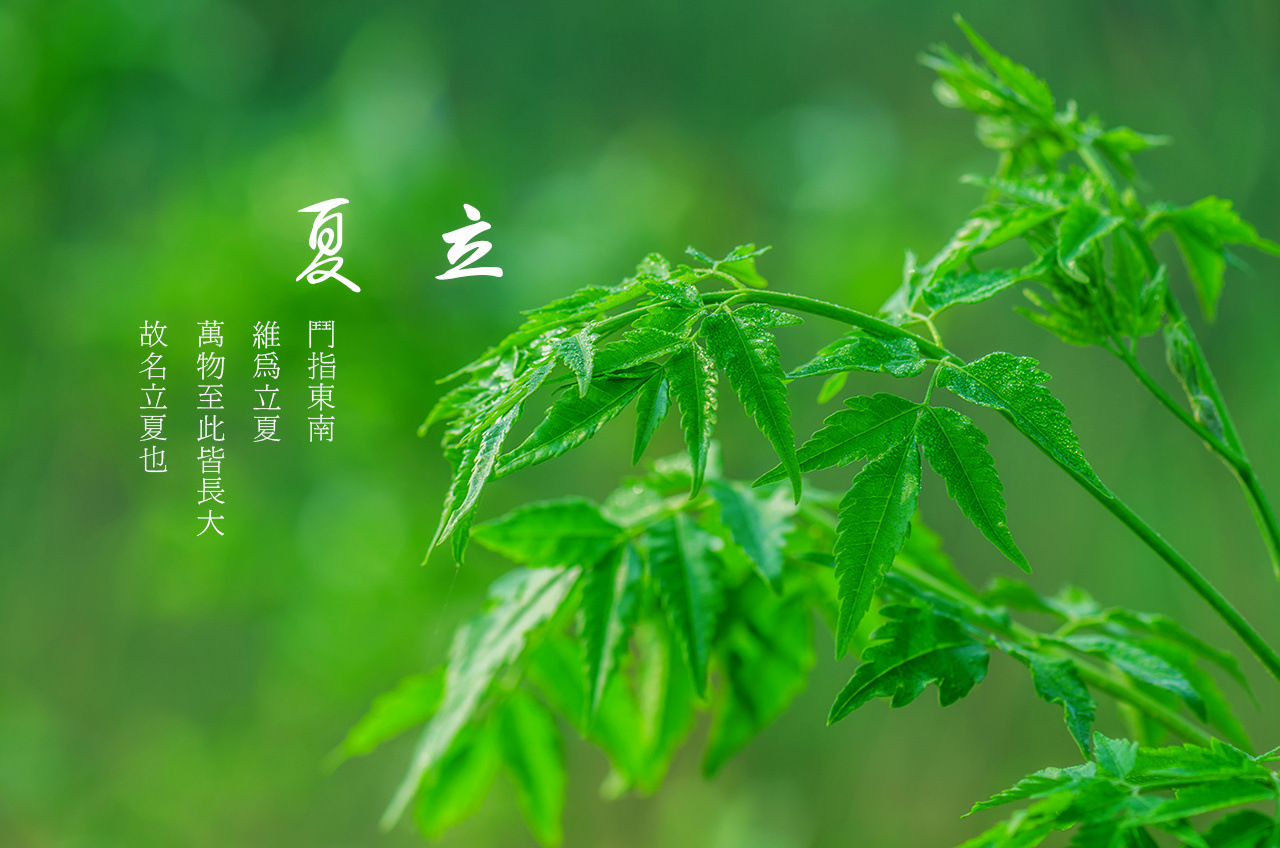 立夏