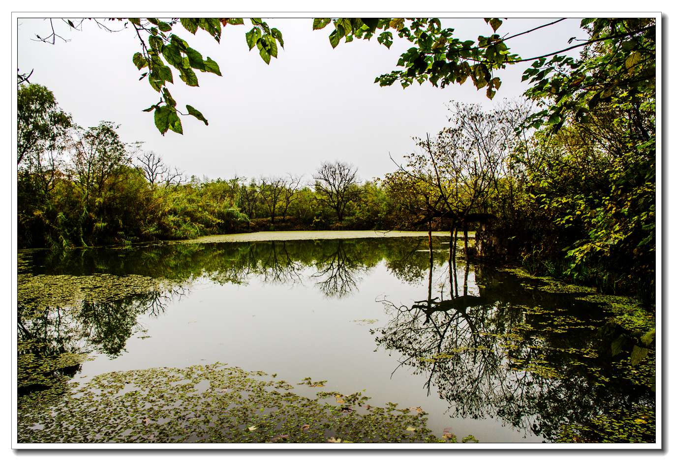 西溪湿地(一)