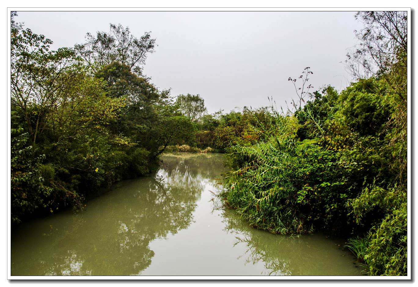 西溪湿地(一)