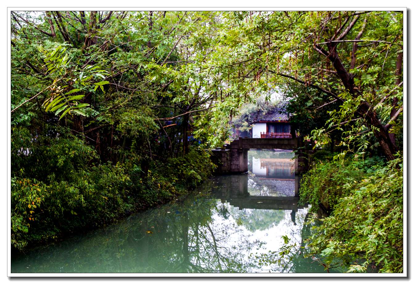 西溪湿地(一)