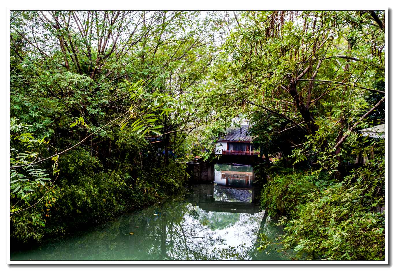 西溪湿地(一)