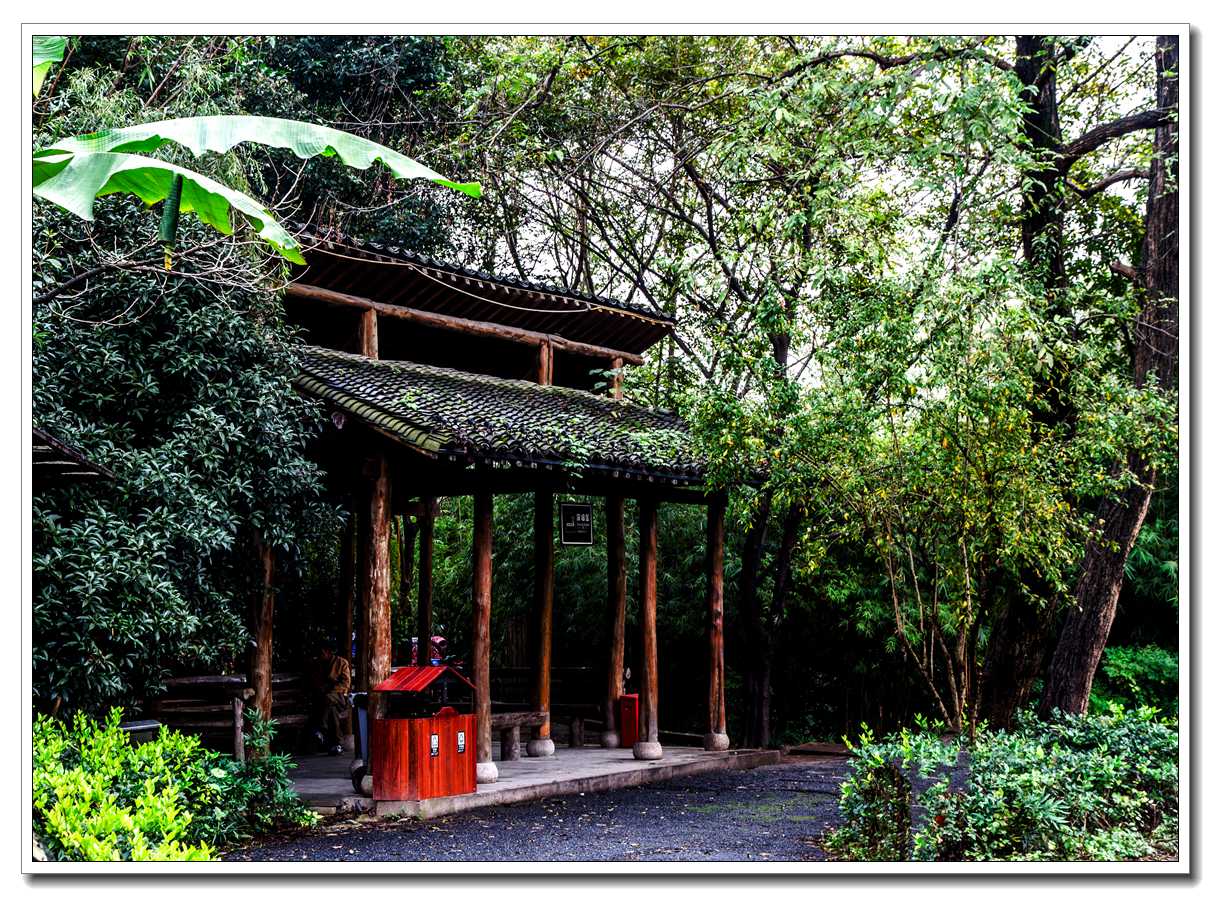 西溪湿地(一)