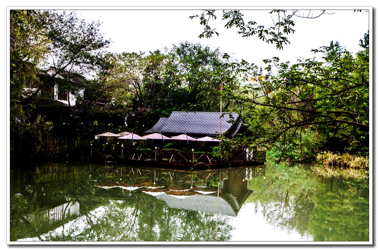 西溪湿地(一)