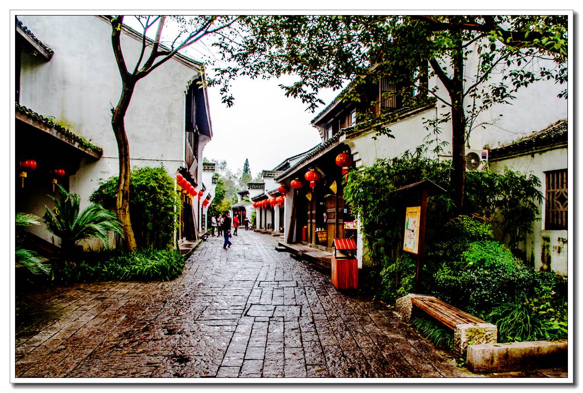 西溪湿地(一)