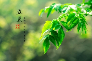 立夏