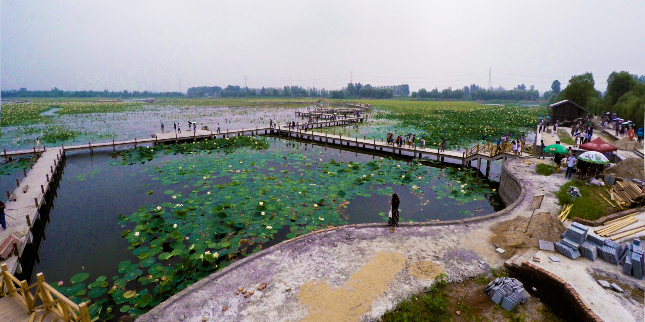 美丽焦岗湖