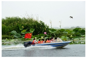 美丽焦岗湖