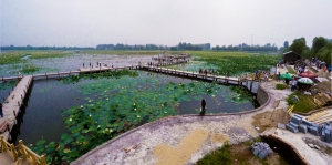 美丽焦岗湖
