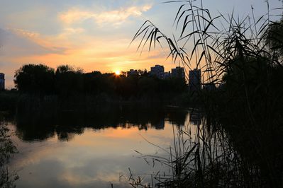 爱晚