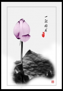 一枝独秀