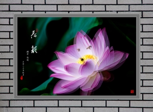 荷韵