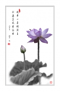 并蒂莲