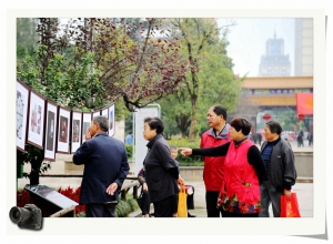 观影展