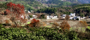 塔川秋色