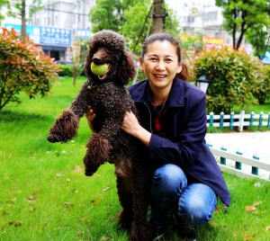 爱犬