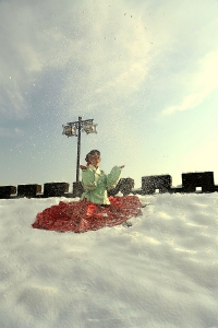 欢喜飞雪