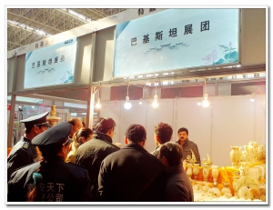 第一届淮南文化产业博览会纪实<三.>