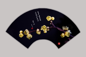 扇面腊梅