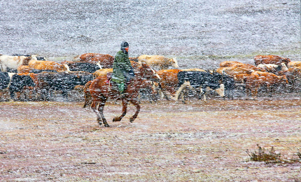 阿勒泰风雪转场路