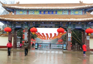 龙湖喜迎春雪