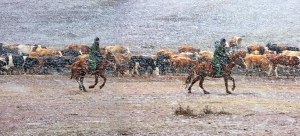 阿勒泰风雪转场路