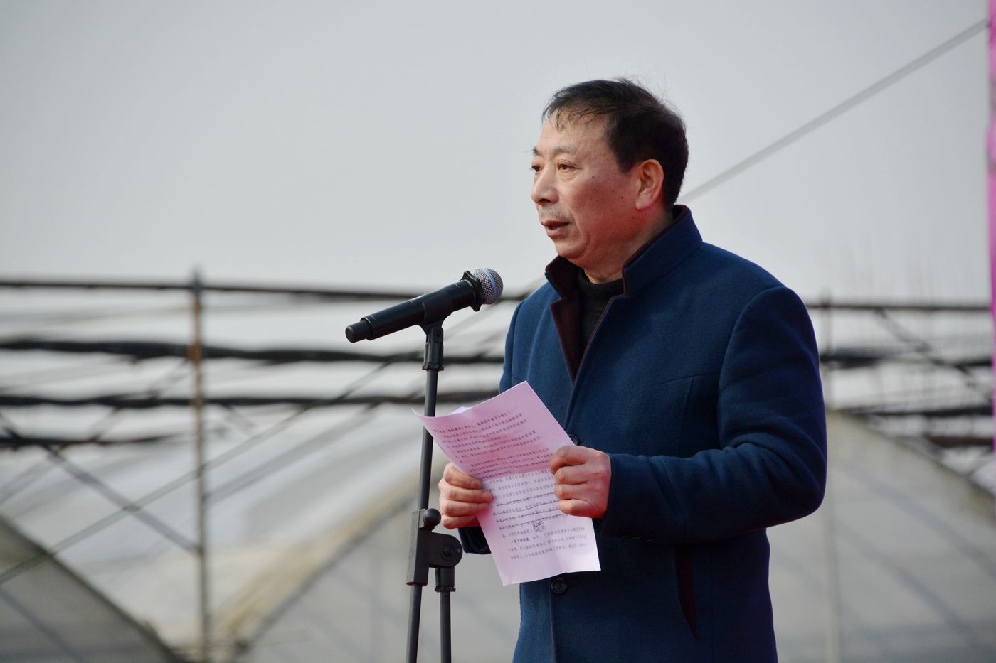 第十届中国淮南曹安桃花草莓节隆重开幕