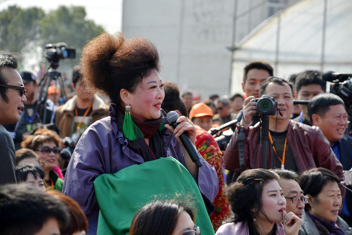 第十届中国淮南曹安桃花草莓节隆重开幕